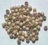 100 5x6mm Natural Crow Wood Beads